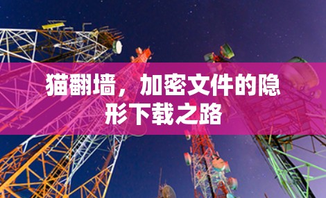 猫翻墙,加密文件的隐形下载之路 猫翻墙,加密文件的隐形下载之路