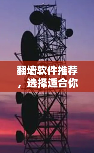 翻墙软件推荐,选择适合你的选择 翻墙软件推荐,选择适合你的选择