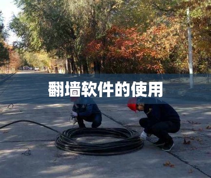 翻墙软件的使用 翻墙软件的使用