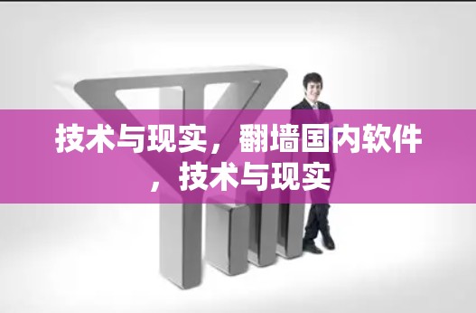 技术与现实，翻墙国内软件，技术与现实