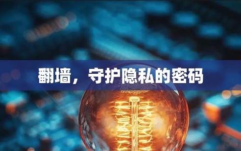 翻墙，守护隐私的密码