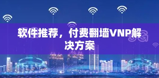 软件推荐，付费翻墙VNP解决方案