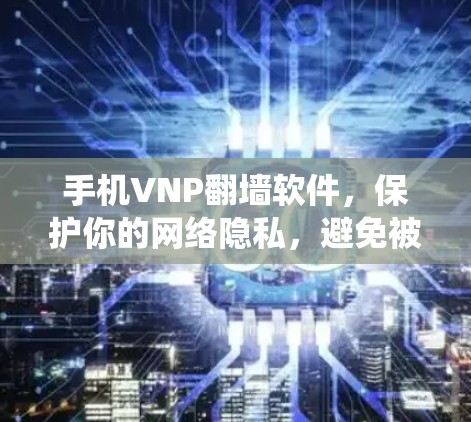 手机VNP翻墙软件，保护你的网络隐私，避免被系统限制
