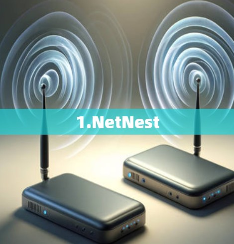 1.NetNest