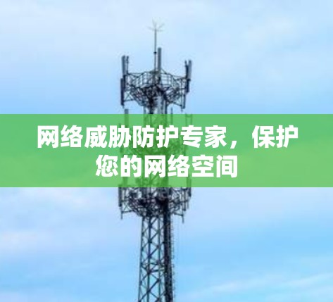 网络威胁防护专家，保护您的网络空间