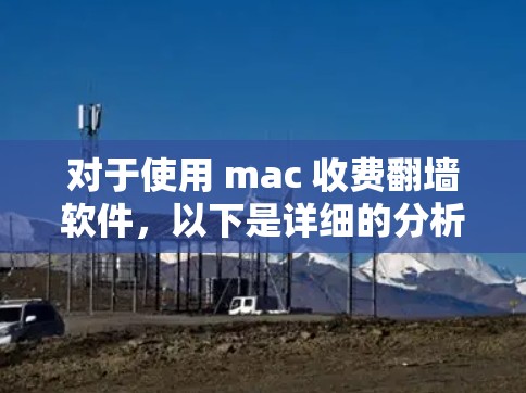 对于使用 mac 收费翻墙软件，以下是详细的分析和建议