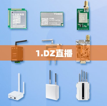 1.DZ直播