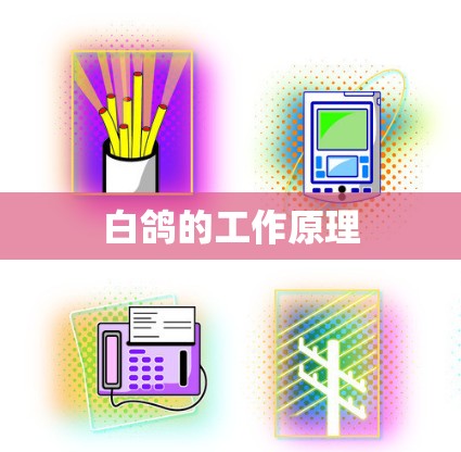 白鸽的工作原理
