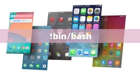 !bin/bash