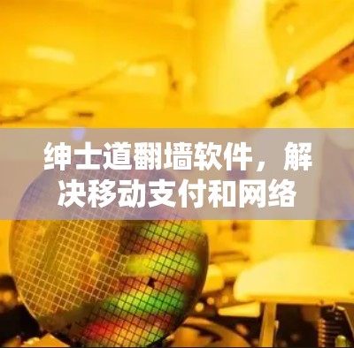 绅士道翻墙软件，解决移动支付和网络连接的难题