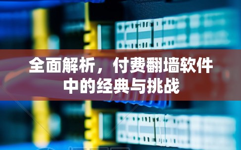 全面解析，付费翻墙软件中的经典与挑战