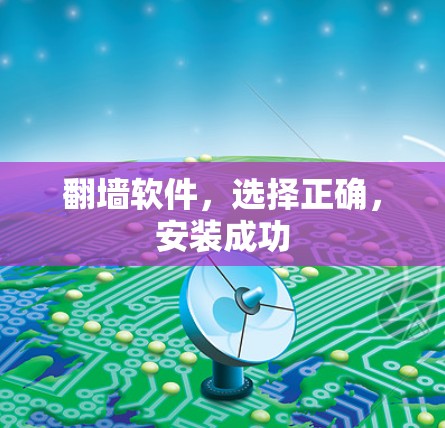 翻墙软件,选择正确,安装成功 翻墙软件,选择正确,安装成功