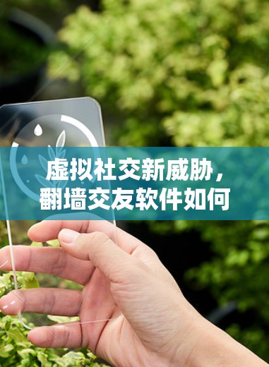 虚拟社交新威胁，翻墙交友软件如何改变我们的际遇