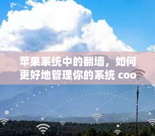 苹果系统中的翻墙，如何更好地管理你的系统 cookies 和自动保存 cookies