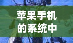 苹果手机的系统中确实支持文件传输，可以通过使用Flask工具来管理存储分区和文件传输。以下是解决苹果手机照片翻墙问题的步骤