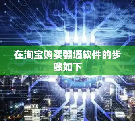 在淘宝购买翻墙软件的步骤如下