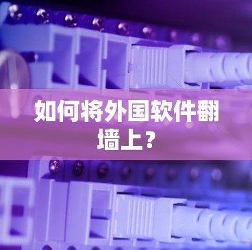 如何将外国软件翻墙上？