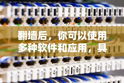翻墙后，你可以使用多种软件和应用，具体取决于翻墙后的网络环境。以下是一些可以尝试的软件和应用