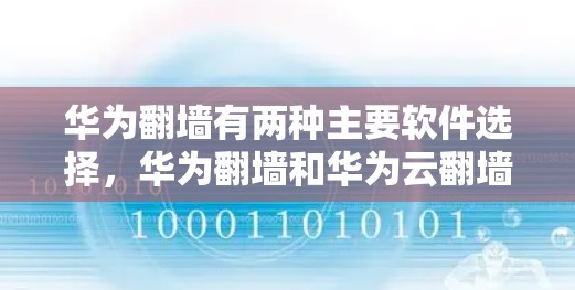 华为翻墙有两种主要软件选择，华为翻墙和华为云翻墙。以下是根据不同需求的推荐