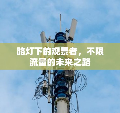 路灯下的观景者，不限流量的未来之路