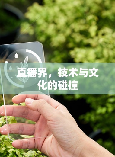 直播界，技术与文化的碰撞