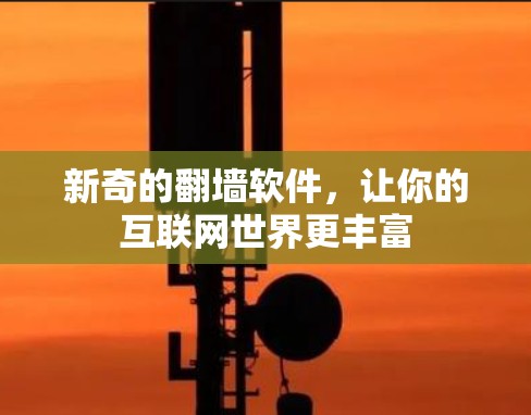 新奇的翻墙软件，让你的互联网世界更丰富