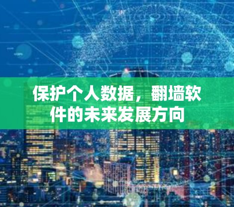 保护个人数据，翻墙软件的未来发展方向