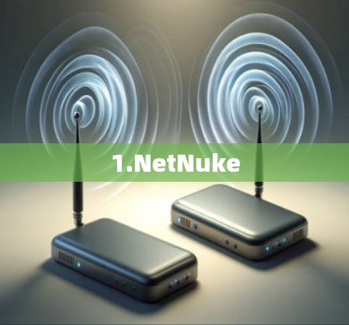 1.NetNuke