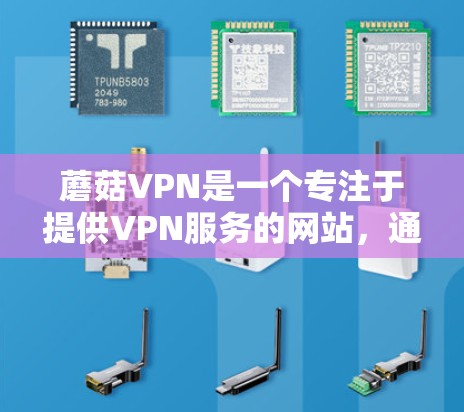 蘑菇VPN是一个专注于提供VPN服务的网站，通常通过开放的协议提供服务。为了下载蘑菇VPN的APP，您可以按照以下步骤进行操作