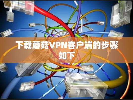 下载蘑菇VPN客户端的步骤如下