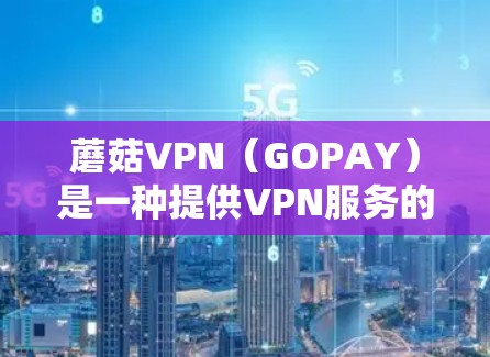 蘑菇VPN（GOPAY）是一种提供VPN服务的平台，专为用户设计用于访问机场、酒店等设施的网络服务。如果你计划在机场使用蘑菇VPN，可以按照以下步骤进行