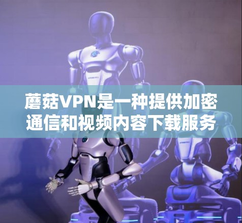 蘑菇VPN是一种提供加密通信和视频内容下载服务的网络服务，其线性稳定情况可以通过以下步骤进行评估