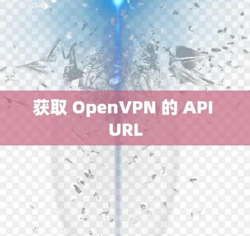 获取 OpenVPN 的 API URL