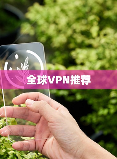 全球VPN推荐