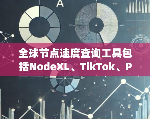 全球节点速度查询工具包括NodeXL、TikTok、PowerQuery、Excel和Netflow。以下是详细的解释