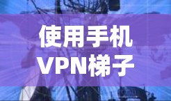 使用手机VPN梯子的基本步骤如下