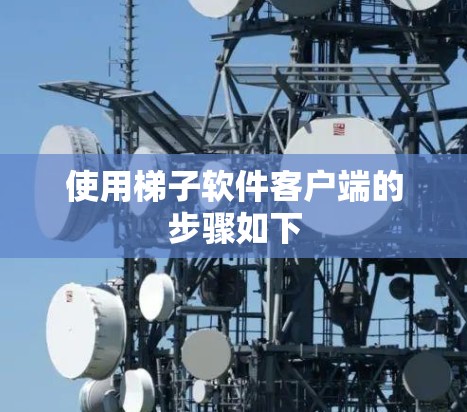 使用梯子软件客户端的步骤如下