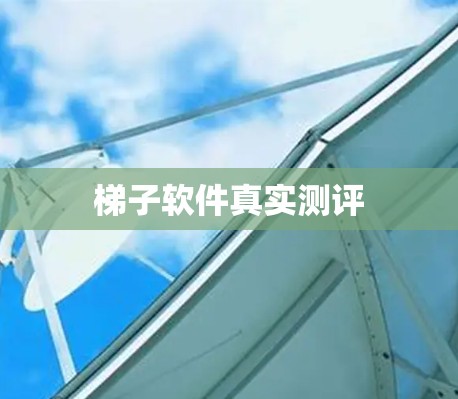 梯子软件真实测评