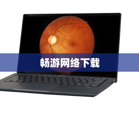 畅游网络下载 畅游网络下载