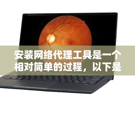 安装网络代理工具是一个相对简单的过程，以下是一步步的指南