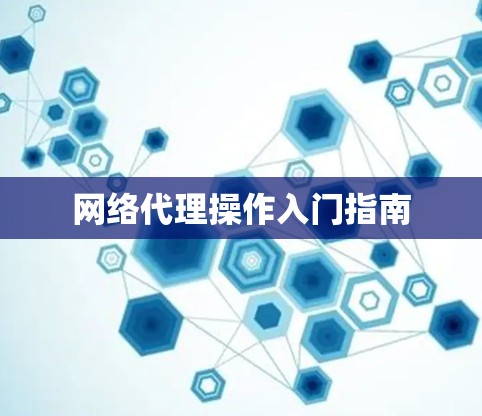 网络代理操作入门指南