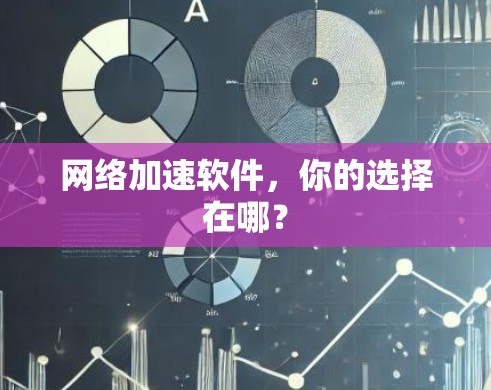 网络加速软件,你的选择在哪? 网络加速软件,你的选择在哪?